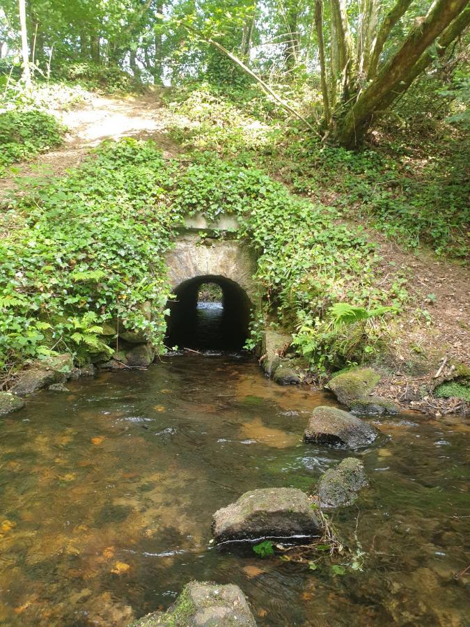 La Bulle De Clotilde - Logement Insolite Tourch Esterno foto